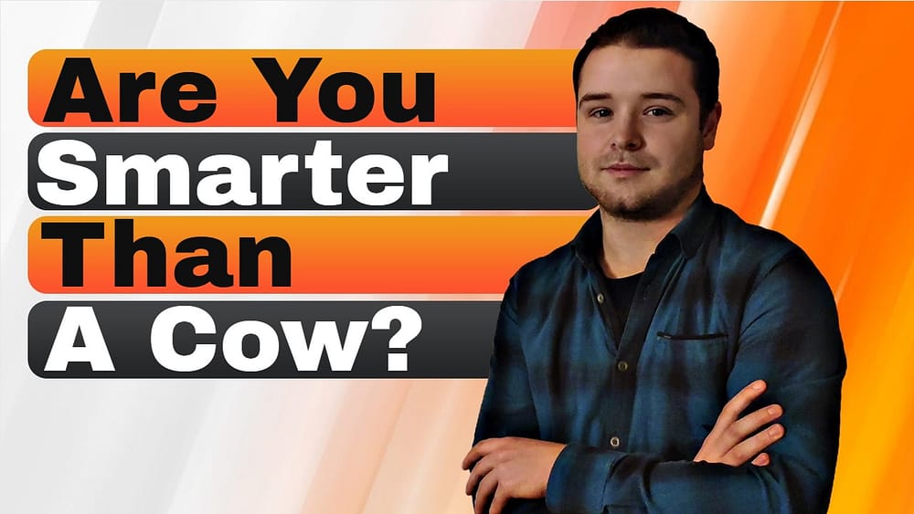 Are You Smarter Than a Cow