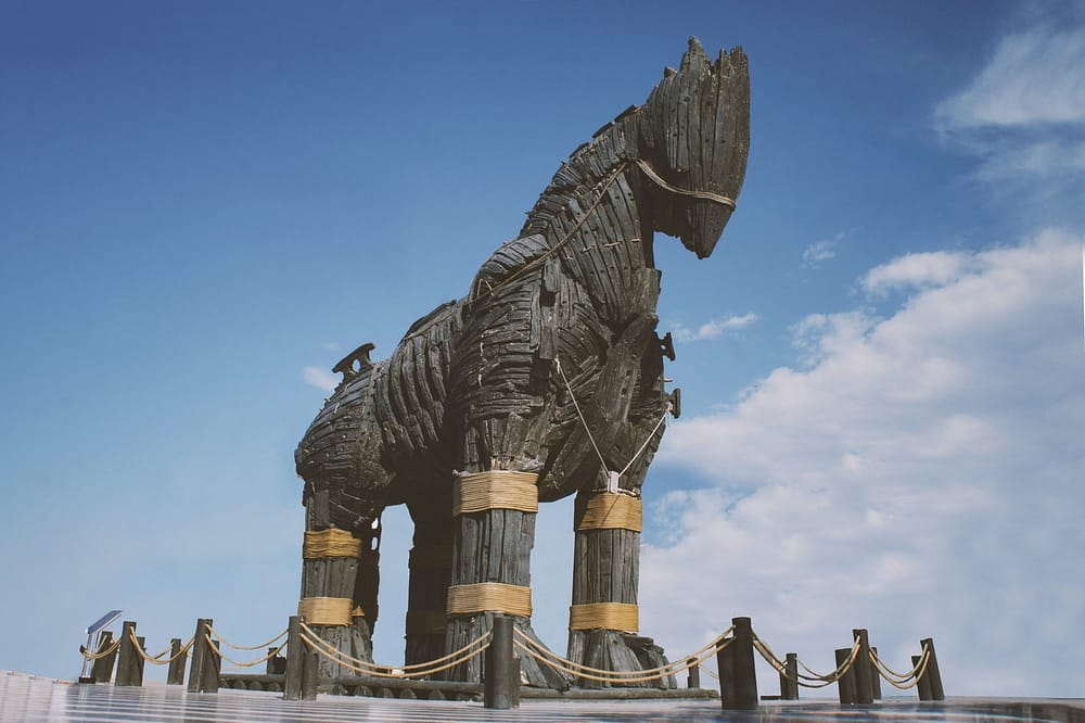 The Trojan Horse Strategy for Success